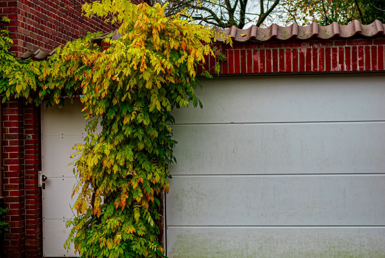 Garage door service in Hickory, NC
